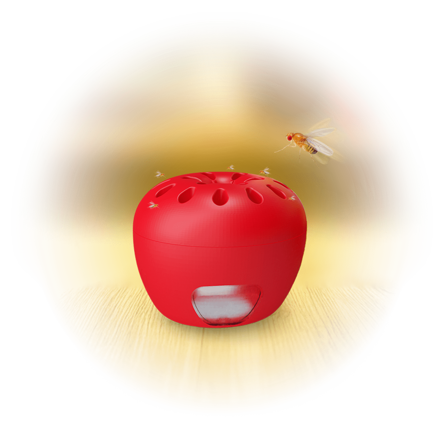 Fruit Fly Trap - zdjęcie produktu