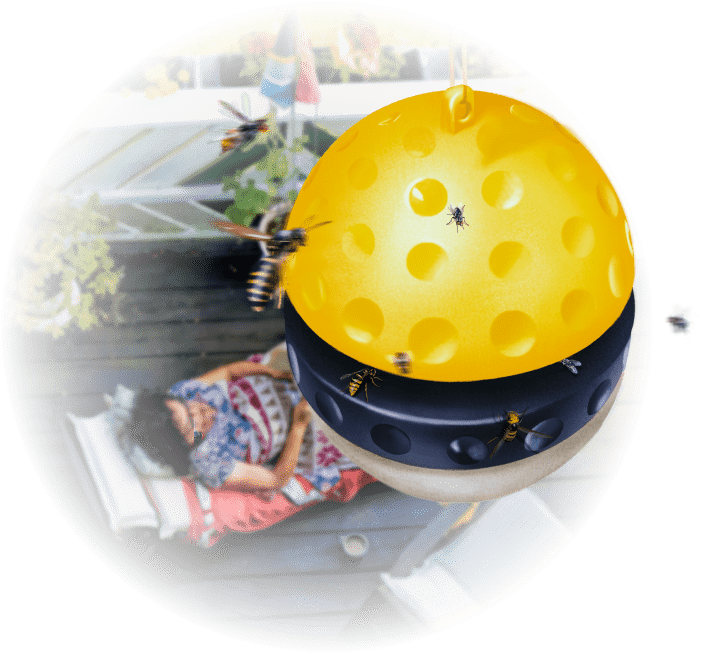 Fruit Fly Trap - zdjęcie produktu