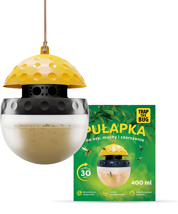 Pułapka na muszki owocówki - zdjęcie produktu